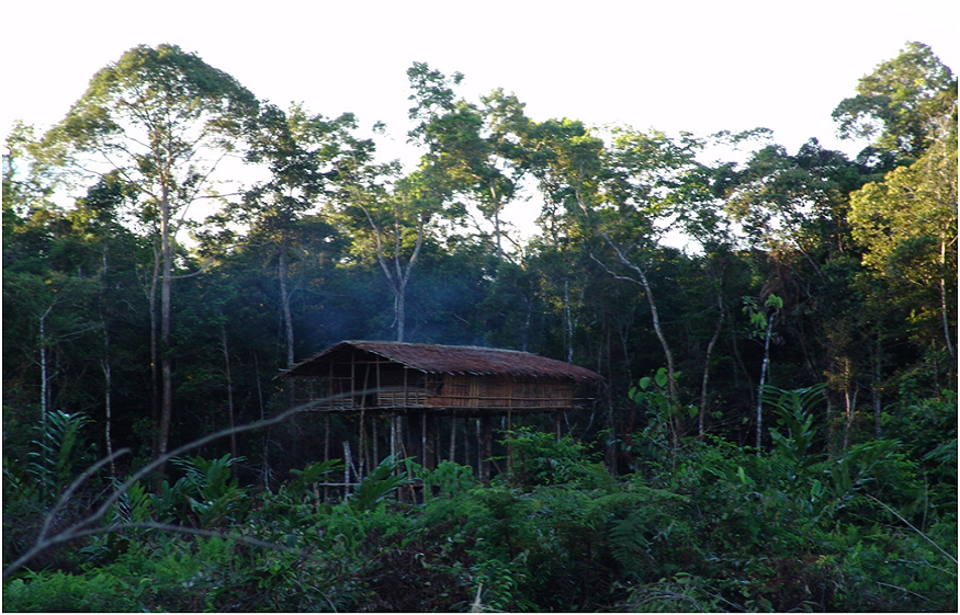 Discovering Papua’s Hidden Wonders: From Raja Ampat Tours to Trekking Adventures