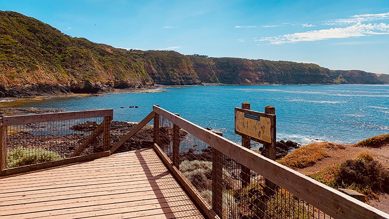 Oceanfront boardwalk on the Mornington Peninsula Coastal Walk with panoramic coastal views and rugged cliffs